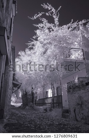 old greek village street with snowy trees 720nm infrared photo