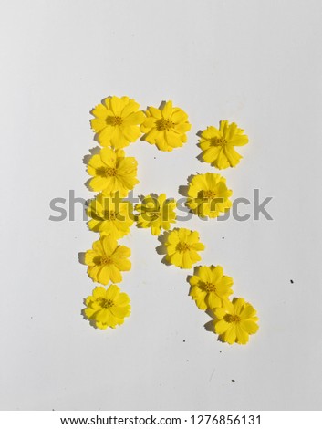 Beautiful yellow Sulfur cosmos flowers form the pattern of letter R