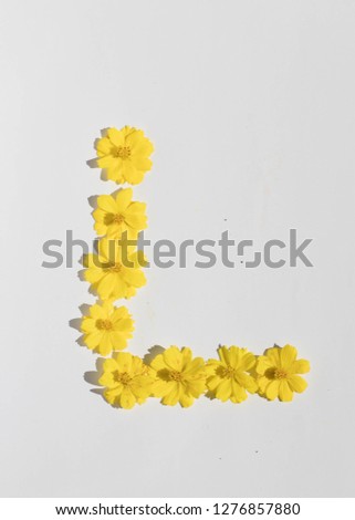 Beautiful yellow Sulfur cosmos flowers form the pattern of letter L