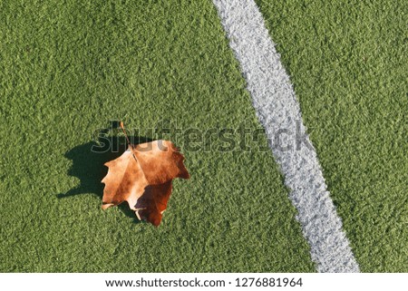 Artificial turf soccer field, a corner marker line.