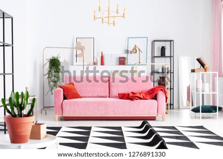 Plant on table and patterned carpet in front of pink sofa in white flat interior with posters. Real photo
