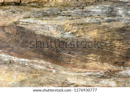 lovely rock face texture background