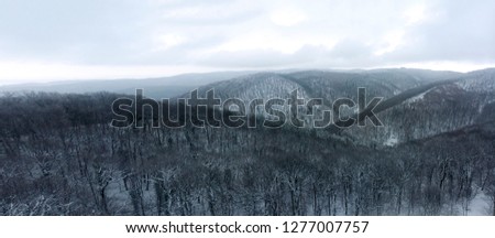 Winter Mountain Forest Aerial Shot, Woods Covered with Snow and Fog. Cold January morning.