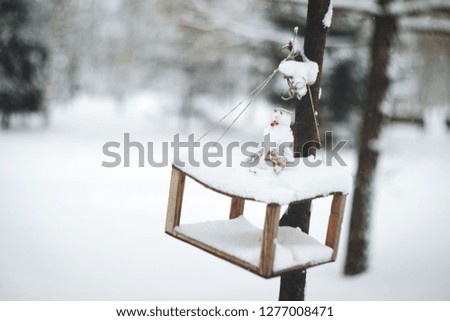 The picture of a wooden bird feeder was made in Kazan, in the Victory park. Russia,