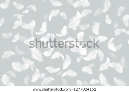 White feathers floating in the air. Feather background.