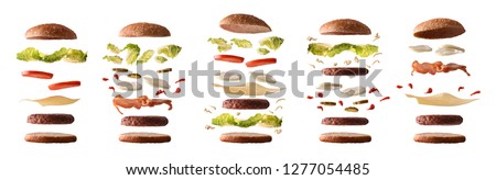 Set of different burgers with ingredients separated by layers on white isolated background. Front view. Horizontal composition.
