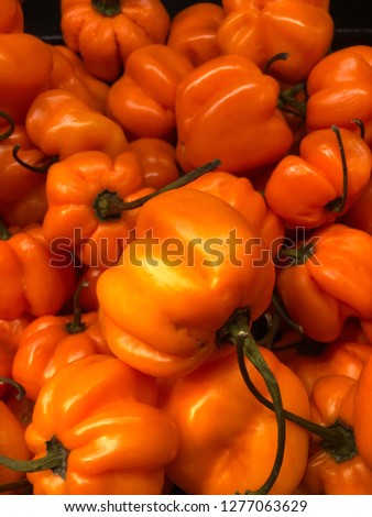 Spicy Orange Peppers with Stem
