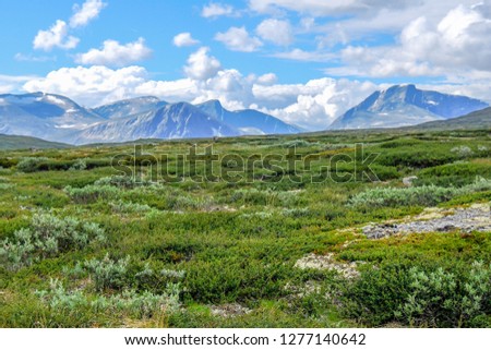 Beautiful tundra landscape view with mountains in the horizon at summer. Dovrefjell–Sunndalsfjella National Park, Norway. Wild untouched environment of plateau.   Royalty-Free Stock Photo #1277140642