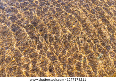 Pure clear water of coral reef in the Red Sea. Rest in Sharm el Sheikh, Egypt