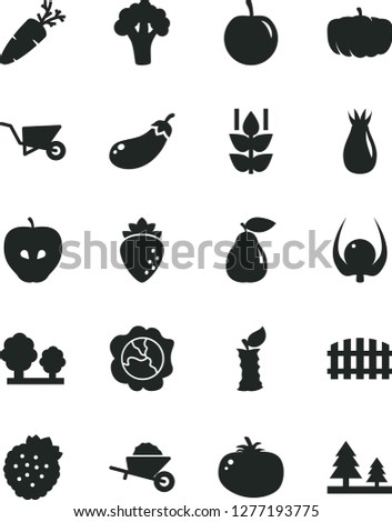 Solid Black Vector Icon Set - garden trolley vector, building, fence, tomato, carrot, strawberries, mint, squash, pear, tasty apple, raspberry, rose hip, plum, physalis, stub, broccoli, eggplant