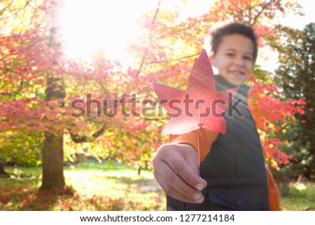 Portrait of boy holding maple leaf on autumn walk in countryside