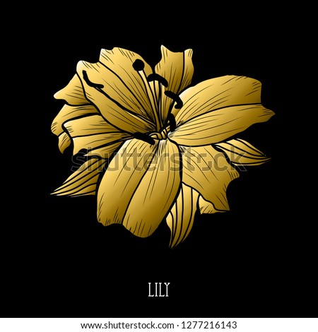 Decorative lily flower, design element. Can be used for cards, invitations, banners, posters, print design. Golden flowers