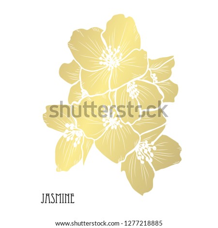 Decorative jasmine flowers, design elements. Can be used for cards, invitations, banners, posters, print design. Golden flowers