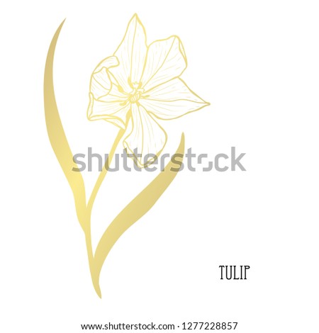 Decorative tulip flower, design element. Can be used for cards, invitations, banners, posters, print design. Golden flowers