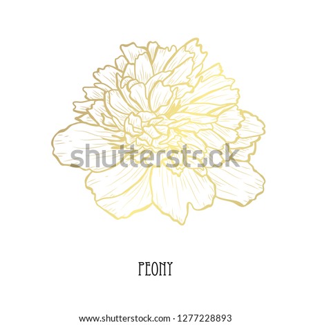 Decorative peony flower, design element. Can be used for cards, invitations, banners, posters, print design. Golden flowers