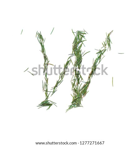 Consonant W english alphabet. Christmas hand made. Font made of fir tree needles isolated on white