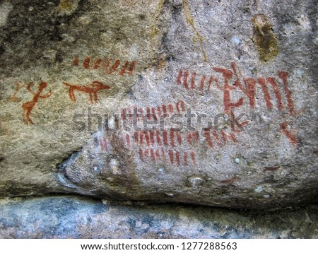 American Indian petroglyphs on the Middle Fork of the Salmon River, Idaho