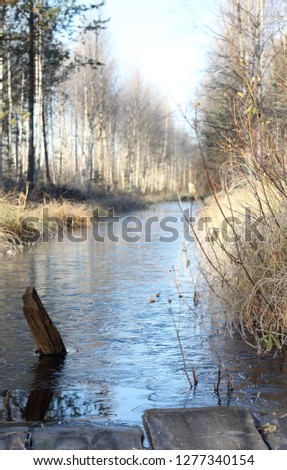 Little river on ice with floating old piece of wood
