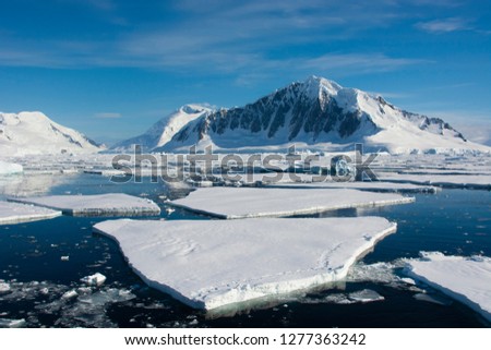 South of the Antarctic Circle, near Adelaide Island. The Gullet. Ice floes. Royalty-Free Stock Photo #1277363242