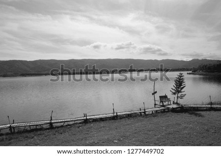 black and white lakeside view with lonely pine tree and bench