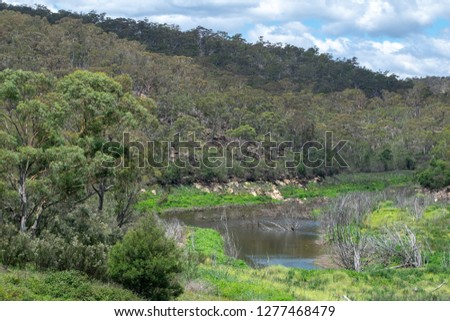 Googong Reservoir with water and trees