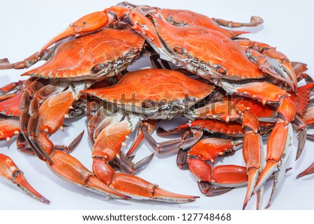 Hot Steamed Crabs, symbol of Maryland State and Ocean City, MD
