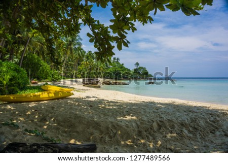 Kayak boat on tropical sea beach with tree