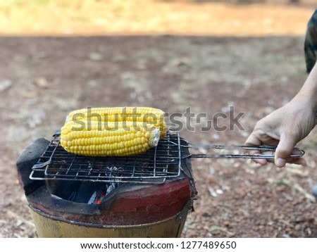 close up potrage photo of grill corn ,foods travel and cuisine concept
