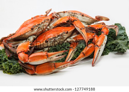 Hot steamed Blue Crabs, symbol of Maryland State and Ocean City, MD