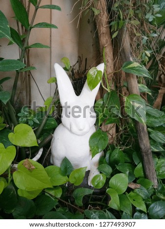 Cute white rabbit in the garden.