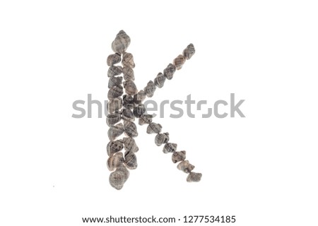 alphabet of shells