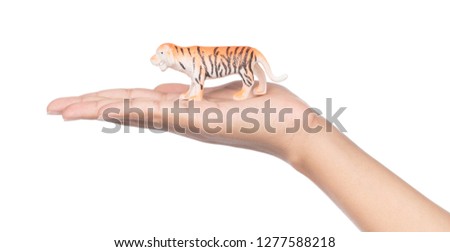 hand holding plastic tiger isolated on white background.