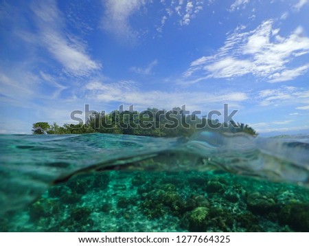 Snorkelling at Little Pigeon island , also known as Credner island . This is located 30 minutes away from Kokopo Town and 1 hour away from Rabaul Town  , Papau New Guinea  Royalty-Free Stock Photo #1277664325