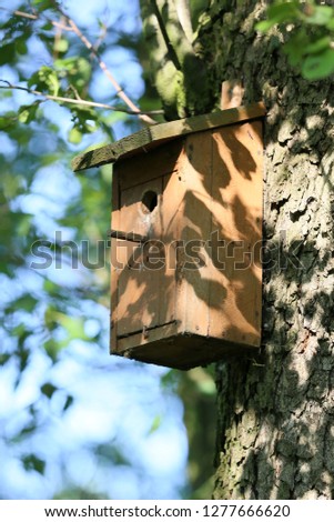 A house for birds and bats in the park. 