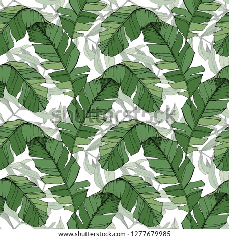 Vector Green leaf plant garden floral foliage. Engraved ink art. Exotic tropical hawaiian summer. Palm beach tree leaves jungle botanical. Seamless background pattern. Fabric wallpaper print texture.