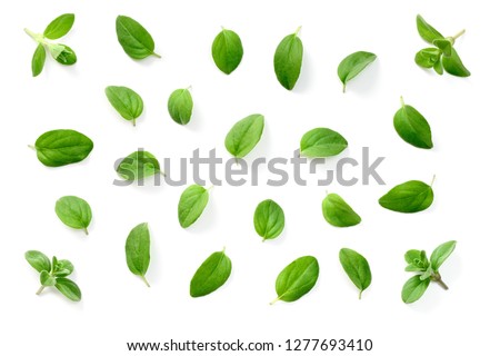 fresh marjoram leaves isolated on the white background, top view Royalty-Free Stock Photo #1277693410