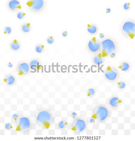 Vector Realistic Blue Petals Falling on Transparent Background.  Spring Romantic Flowers Illustration. Flying Petals. Sakura Spa Design.  Blossom Confetti. Design Elements for  St. Valentine Day.