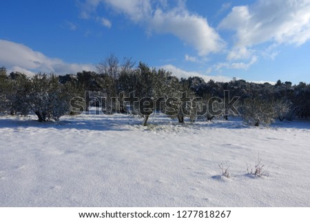 Photo from snow in park with beautiful nature