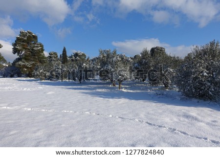 Photo from famous park of Syggros covered with snow at winter time, Marousi, Attica, Greece    