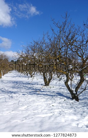 Photo from famous park of Syggros covered with snow at winter time, Marousi, Attica, Greece    