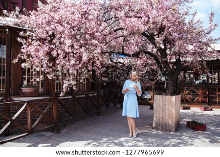 Beauitful plus size model wearing blue dress and trendy sunglasses drinking morning coffee under pink blooming spring tree outdoor in city cafe
