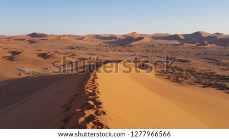 Beautiful view of the dune in the Namibia