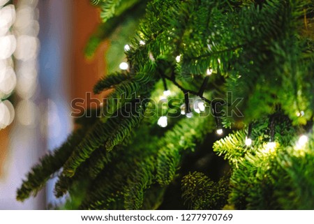Christmas sparkling Garland with branches of fir tree and cones, outdoor