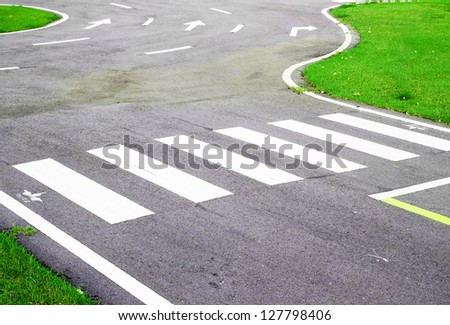 zebra way on the asphalt road surface