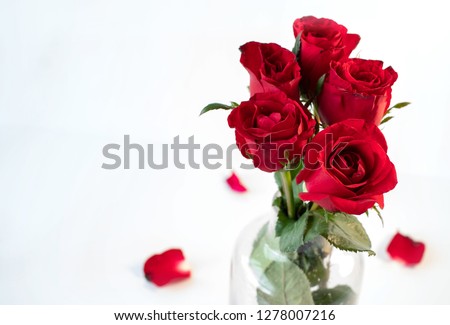 A picture of a rose in a clear vase on white background. This picture is suitable for such occasions as Valentine's day, romantic, sweet, dating and so on. It can also be used as a text picture. 