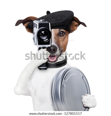 movie director dog with a vintage camera
