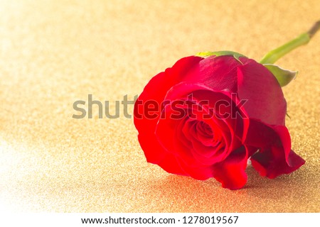 A Single Red Rose on a Golden Table