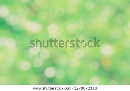 Green bio background, abstract blurred foliage bright sunlight. Organic design nature abstract background with copyspace for text advertising design.  Green abstract light background and bokeh effect