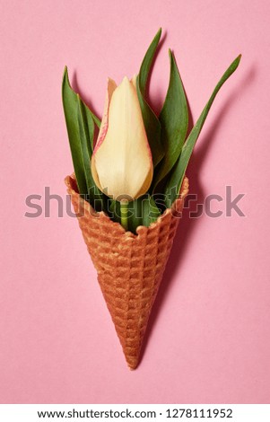 Yellow tulip and leaves in ice cream cone on pink background, copy space. Sping minimal concept. Womens Day, Mothers Day, Valentine's Day, Easter, birthday. Nature background. Flat lay, top view