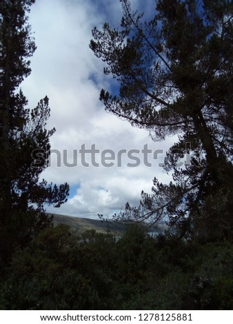Beautiful Andean landscape, mountains, vegetation and a lake